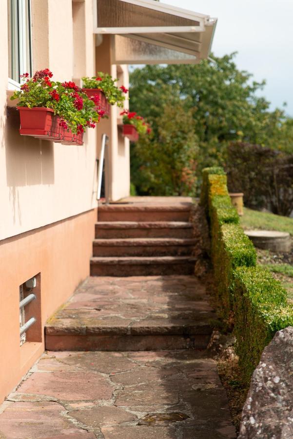 Gite Au Coeur De L'Alsace Maison Gatsby Staffelfelden المظهر الخارجي الصورة